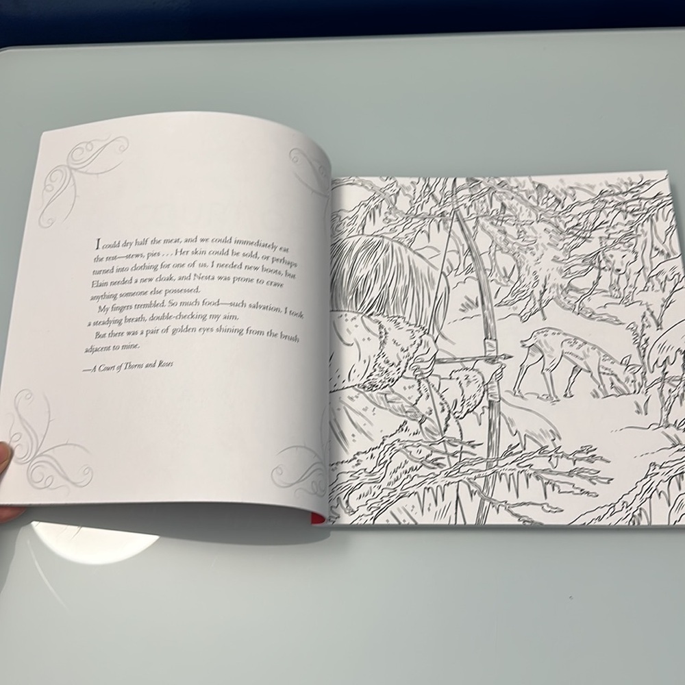 New ACOTAR Coloring Book - Picture 3 of 5